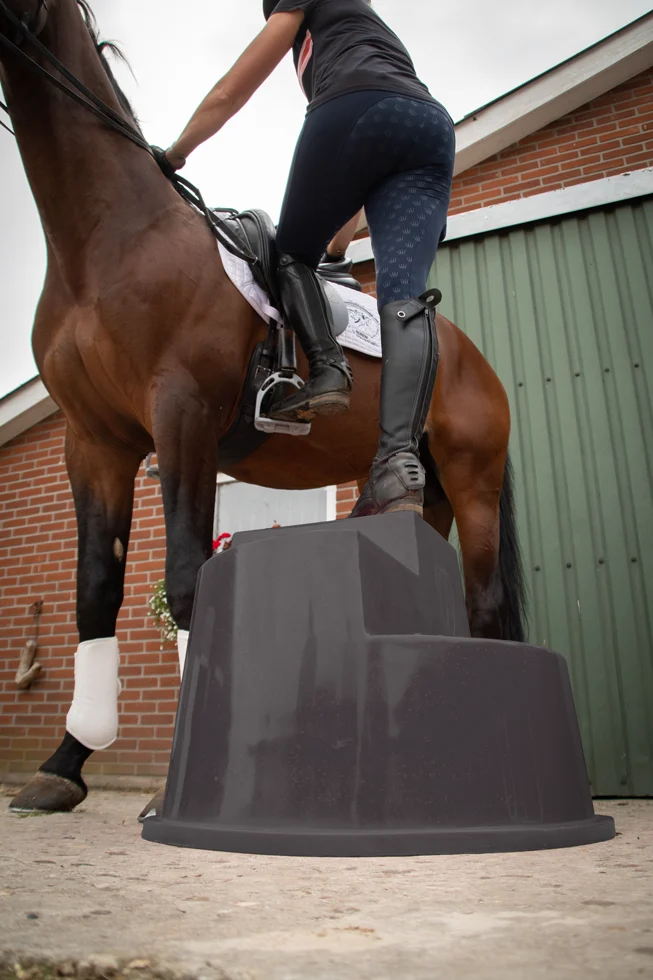 Aufstiegshilfe mit 3 rutschfesten Stufen, Schwarz, 53 cm – Excellent Horse – Bild 3