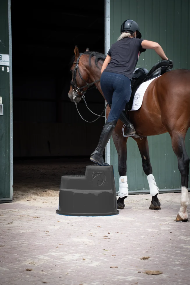 Aufstiegshilfe mit 3 rutschfesten Stufen, Schwarz, 53 cm – Excellent Horse – Bild 4