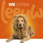 Löwenmähne für Hunde Orange L – Holland Oranje Manen Tooi – Bild 2