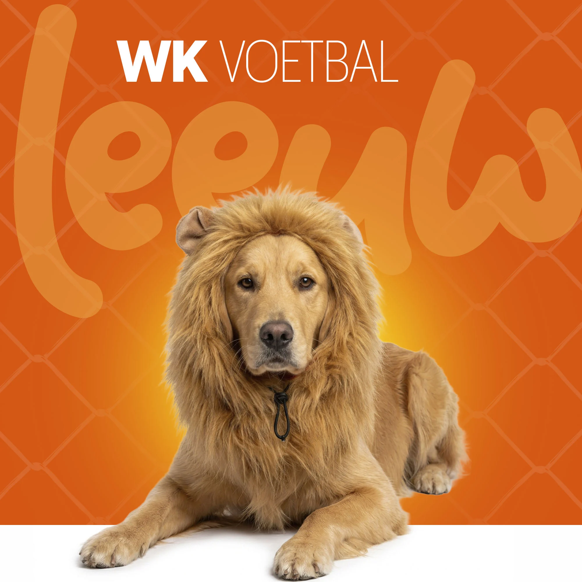 Löwenmähne für Hunde Orange L – Holland Oranje Manen Tooi – Bild 2