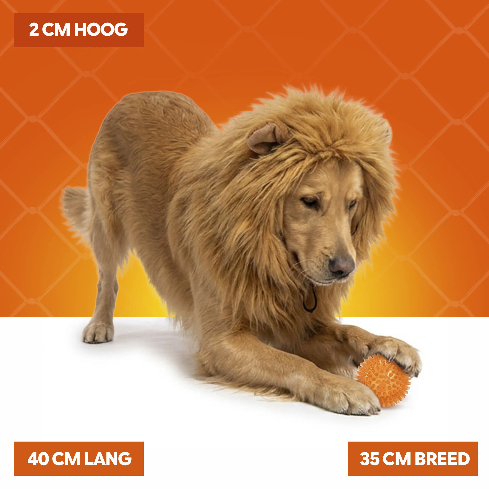 Löwenmähne für Hunde Orange L – Holland Oranje Manen Tooi – Bild 5