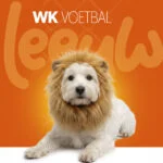 Löwenmähne für Hunde Orange M – Holland Oranje Löwenmähne – Bild 2