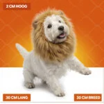 Löwenmähne für Hunde Orange M – Holland Oranje Löwenmähne – Bild 5