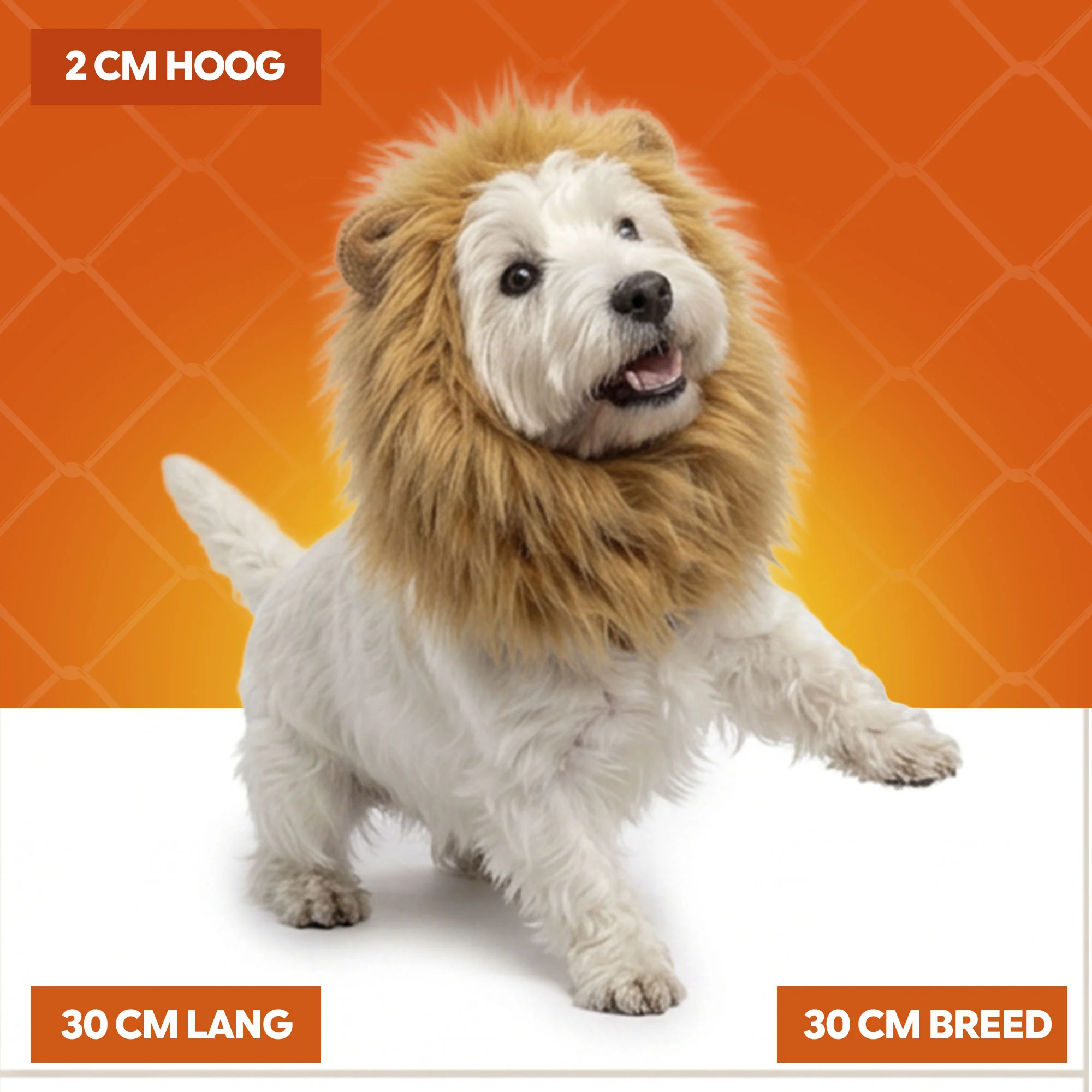 Löwenmähne für Hunde Orange M – Holland Oranje Löwenmähne – Bild 5