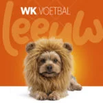 Orangefarbene Löwenmähne für Hunde S – Holland Oranje Löwenmähne – Bild 2