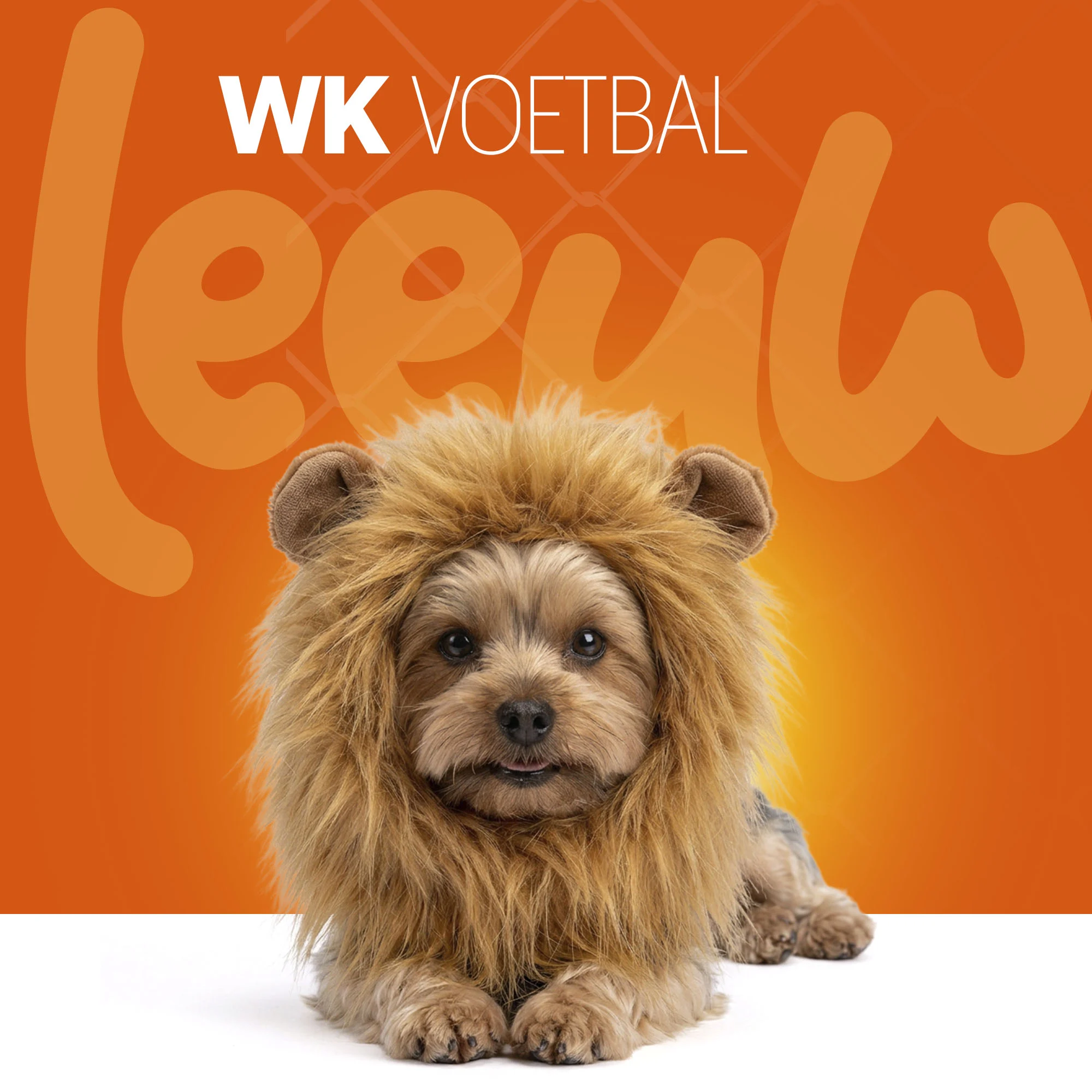 Orangefarbene Löwenmähne für Hunde S – Holland Oranje Löwenmähne – Bild 2
