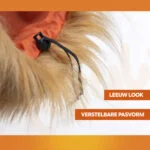 Orangefarbene Löwenmähne für Hunde S – Holland Oranje Löwenmähne – Bild 4