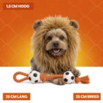 Orangefarbene Löwenmähne für Hunde S – Holland Oranje Löwenmähne – Bild 5