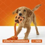 Zerrspielzeug für Hunde in Handform mit Baumwolltau und Quietscher – Holland Oranje High Five – Bild 6