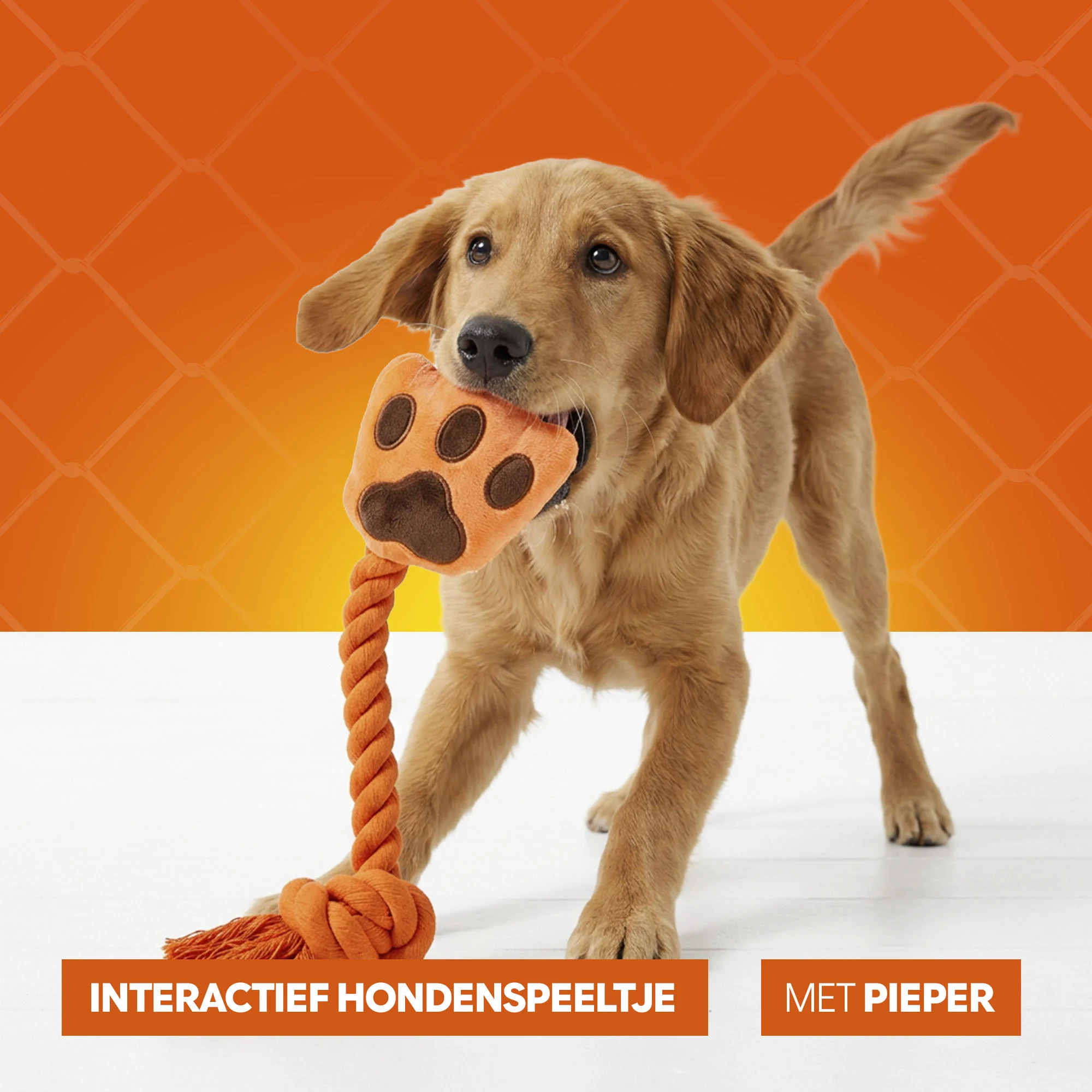 Zerrspielzeug für Hunde in Handform mit Baumwolltau und Quietscher – Holland Oranje High Five – Bild 6