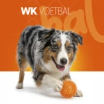 Hundeball mit weichen Noppen M – Holland Oranje Igelball – Bild 2