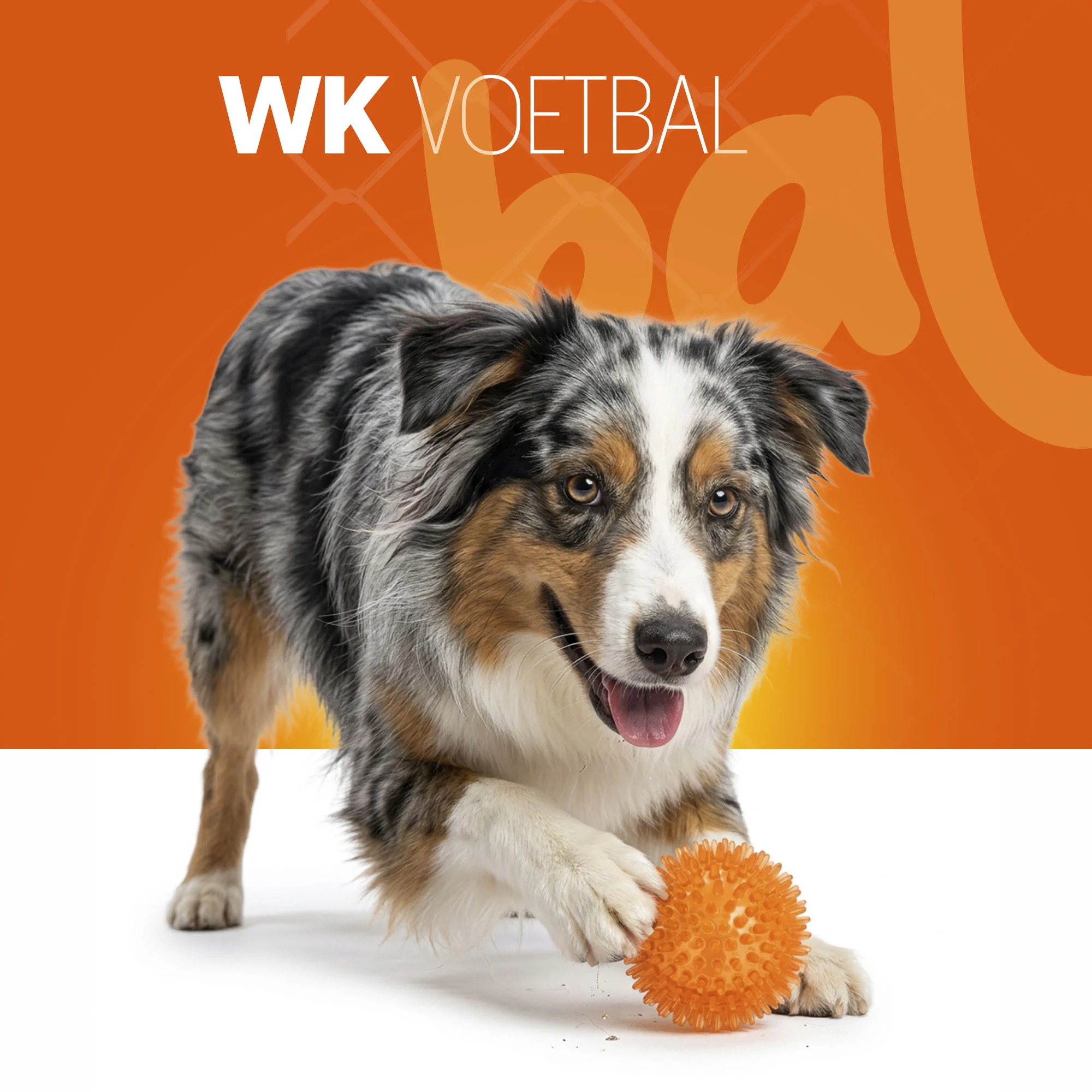 Hundeball mit weichen Noppen M – Holland Oranje Igelball – Bild 2