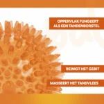 Hundeball mit weichen Noppen M – Holland Oranje Igelball – Bild 3