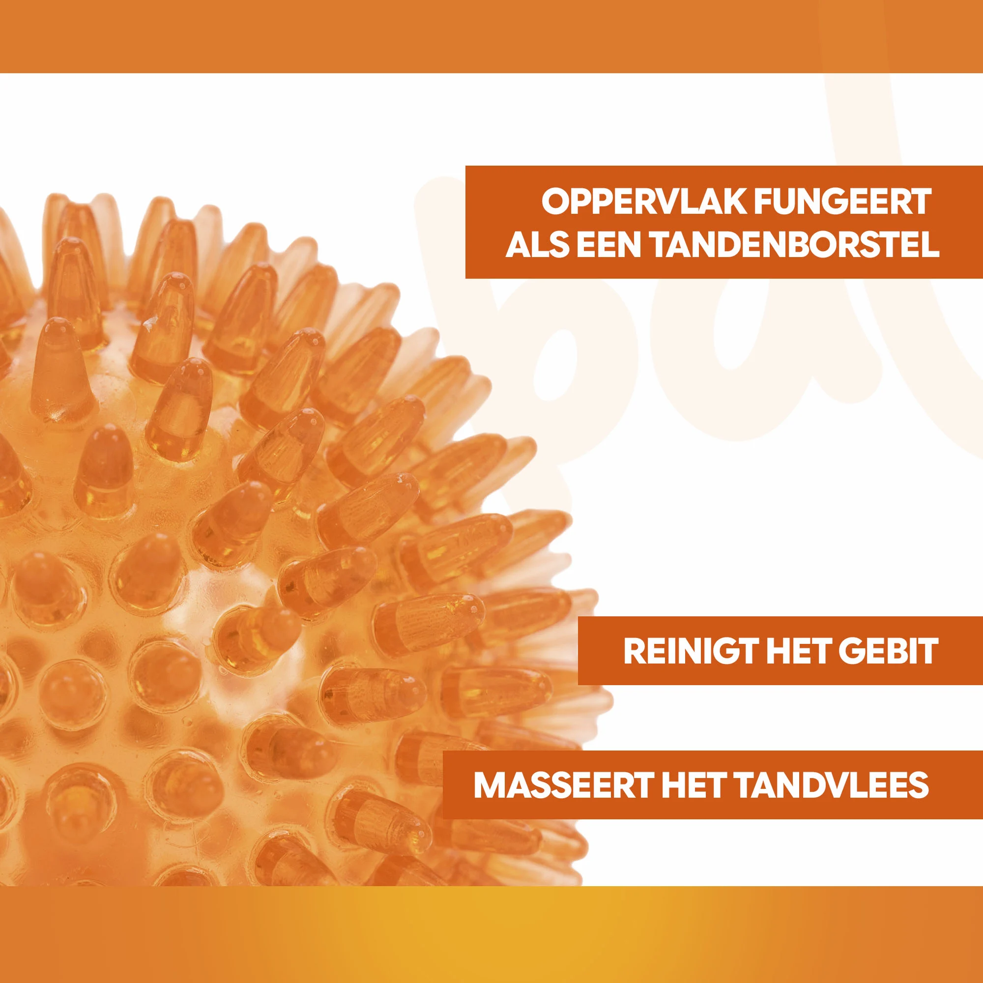 Hundeball mit weichen Noppen M – Holland Oranje Igelball – Bild 3