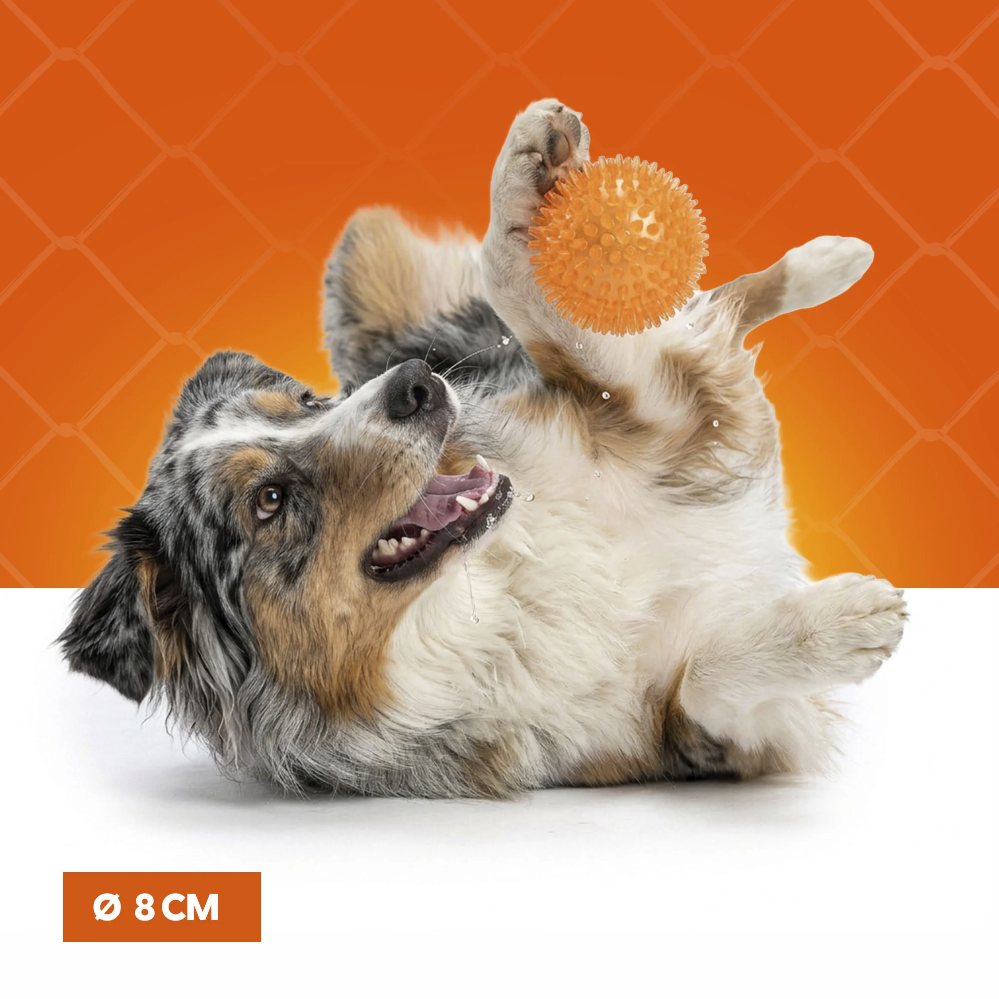 Hundeball mit weichen Noppen M – Holland Oranje Igelball – Bild 4