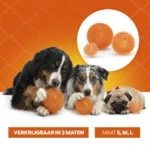 Hundeball mit weichen Noppen M – Holland Oranje Igelball – Bild 6
