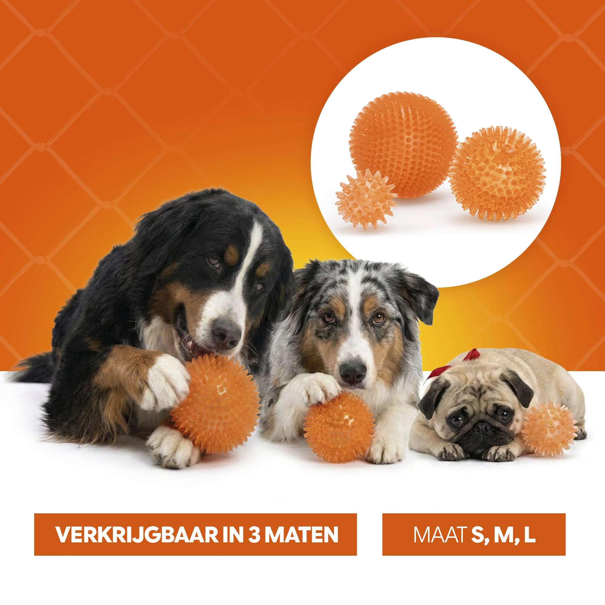Hundeball mit weichen Noppen M – Holland Oranje Igelball – Bild 6