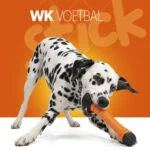 Schwimmender Apportierstick mit Quietscher S 24 cm – Holland Oranje Apportierstick – Bild 2