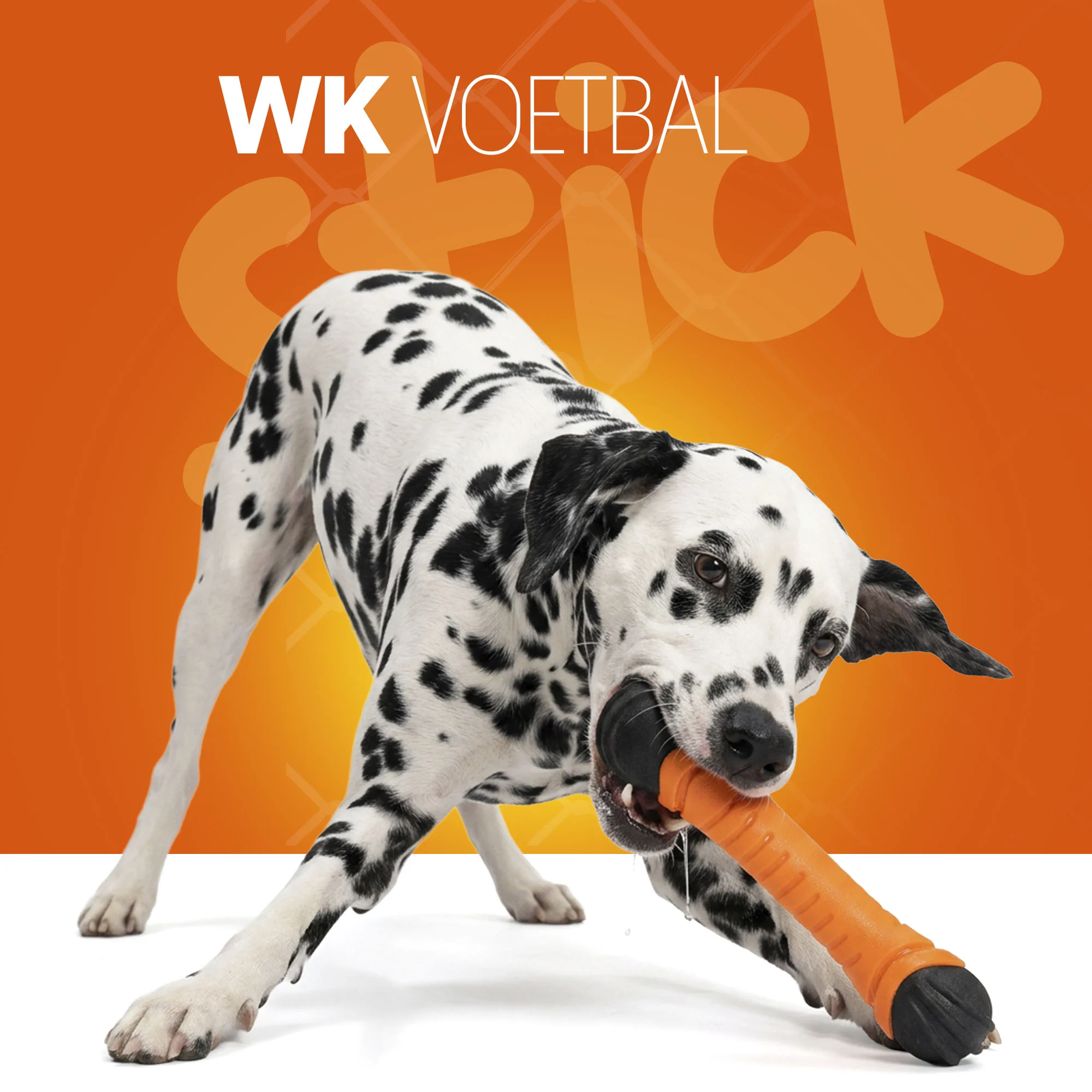 Schwimmender Apportierstick mit Quietscher S 24 cm – Holland Oranje Apportierstick – Bild 2