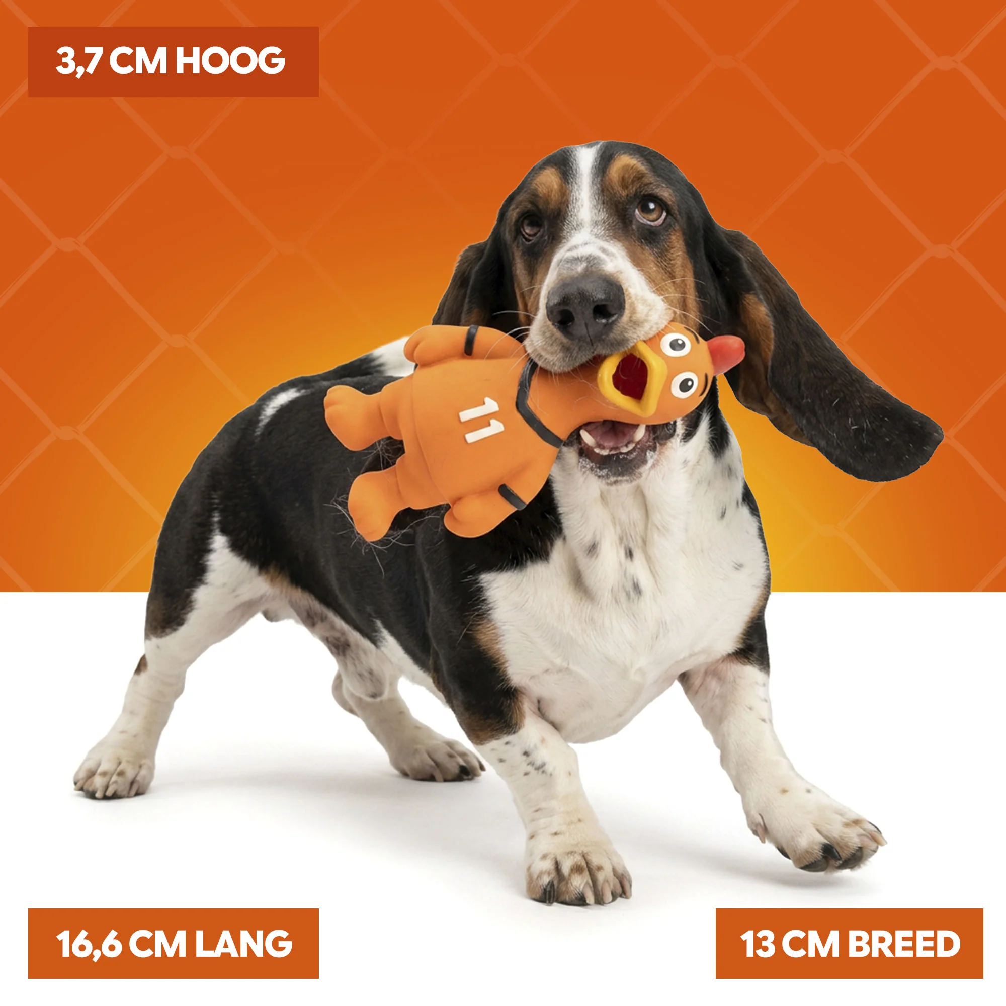 Hundespielzeug in Hühnerform aus Latex, Orange – Holland WM Huhn – Bild 4