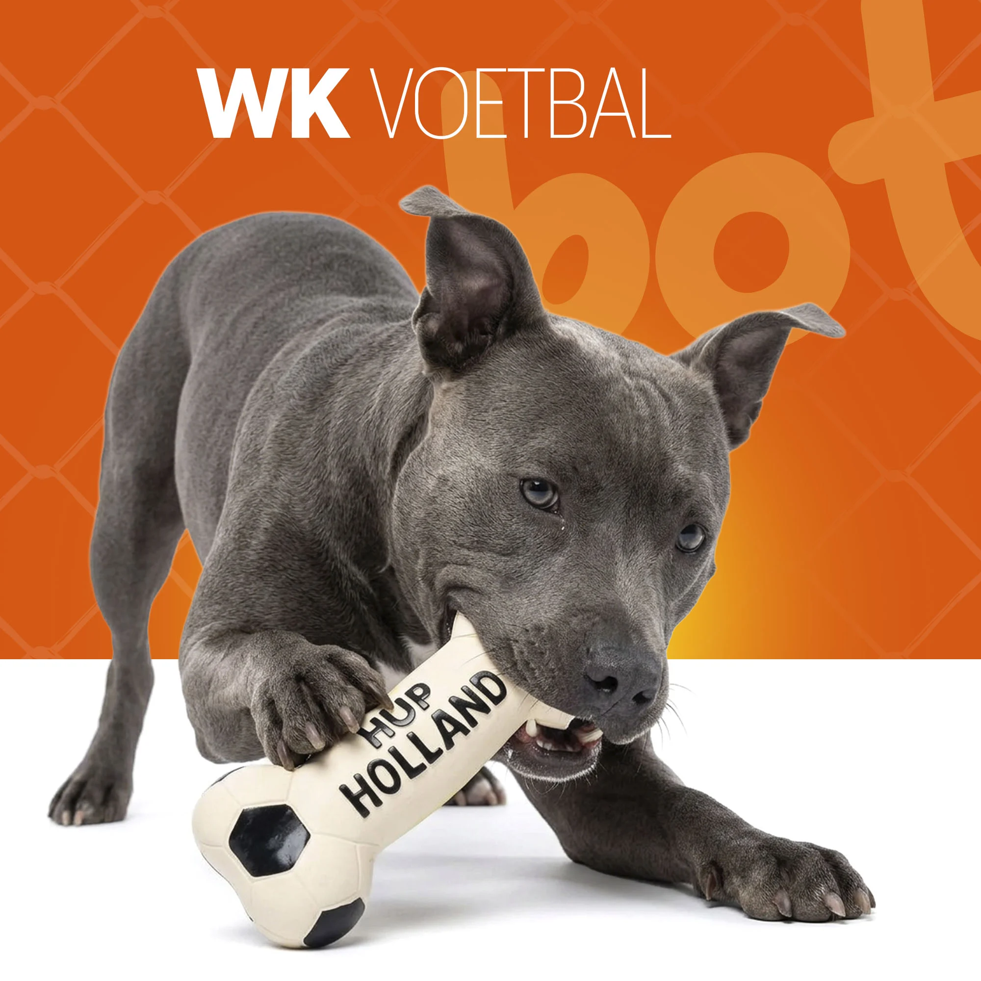 Hundespielzeug aus Latex in Knochenform, orange – Holland WK Knochen – Bild 2