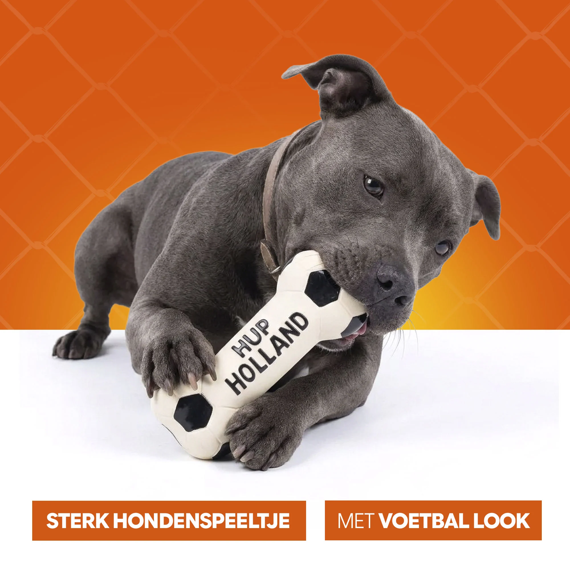 Hundespielzeug aus Latex in Knochenform, orange – Holland WK Knochen – Bild 6