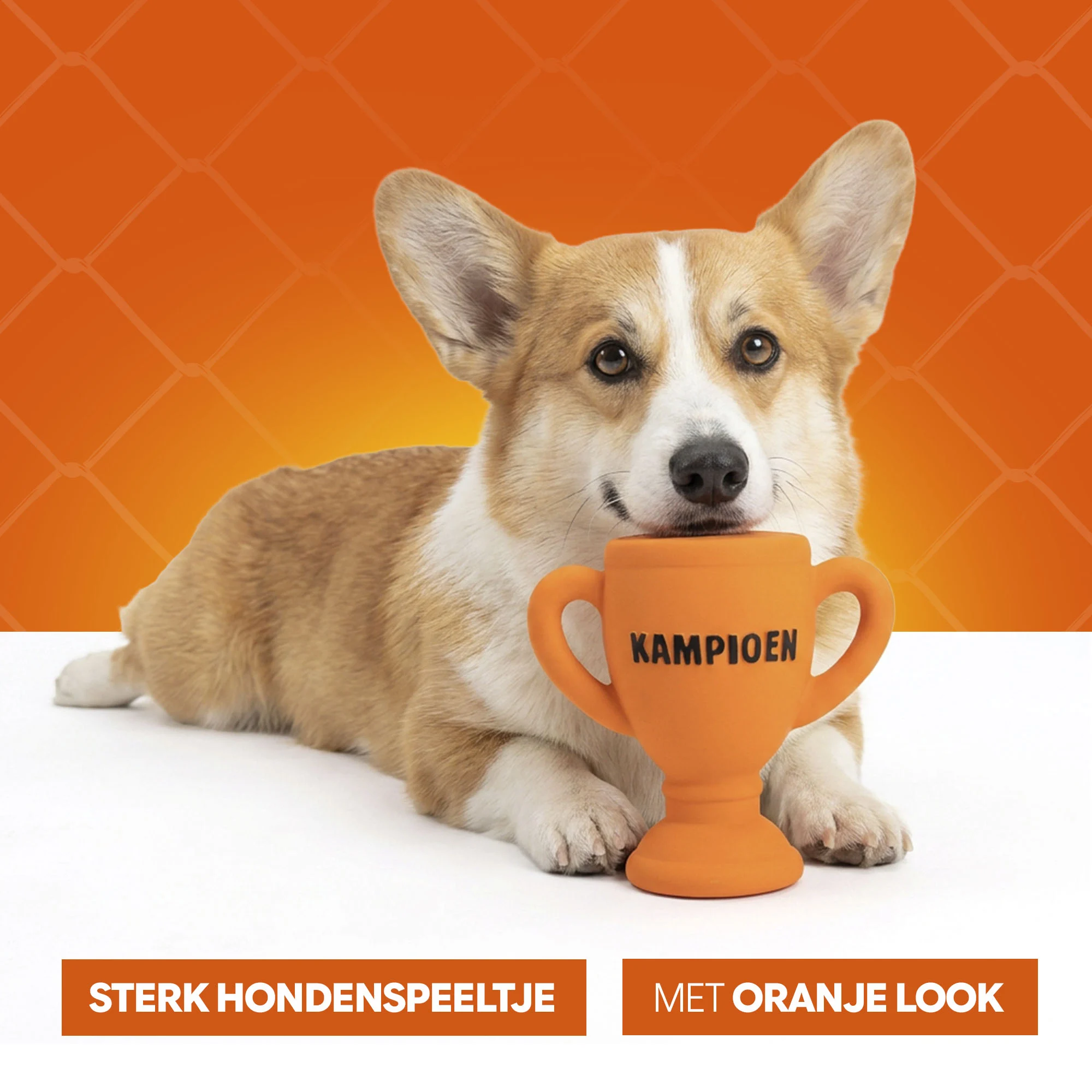 Latex Hundespielzeug in Becherform, Orange – Holland WK Beker – Bild 6