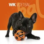 Latex Hundespielzeug mit Quietscher Oranje M – Holland Mr. Dutch – Bild 2