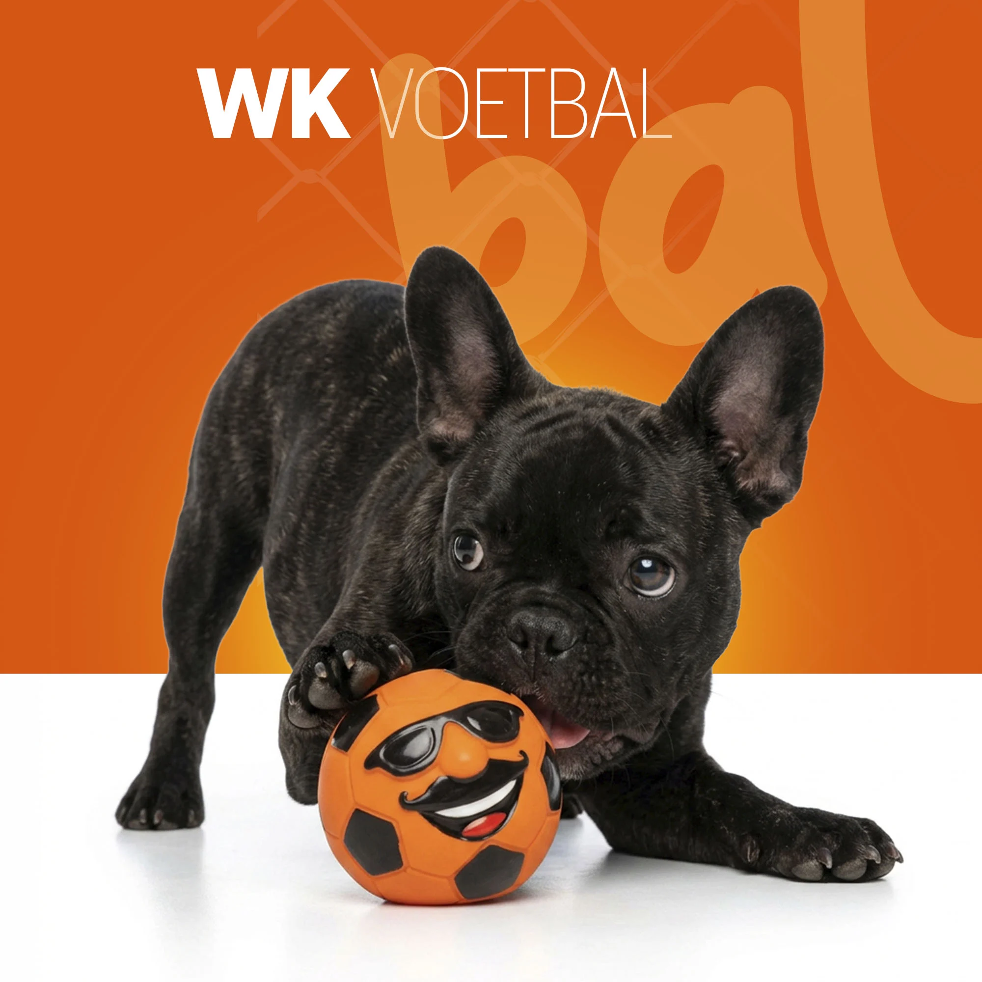 Latex Hundespielzeug mit Quietscher Oranje M – Holland Mr. Dutch – Bild 2