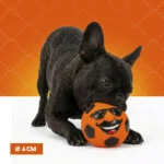 Latex Hundespielzeug mit Quietscher Oranje M – Holland Mr. Dutch – Bild 4