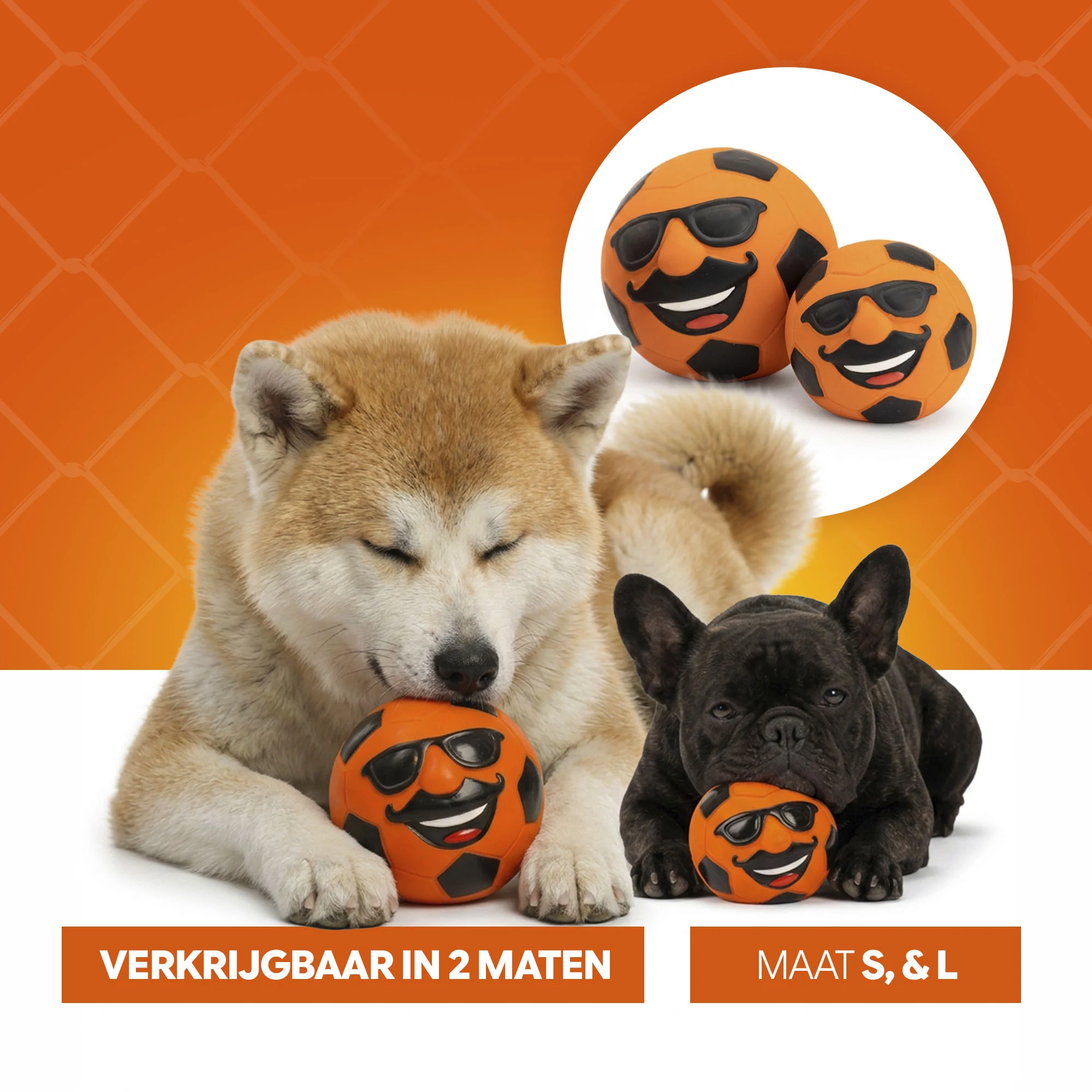 Latex Hundespielzeug mit Quietscher Oranje M – Holland Mr. Dutch – Bild 6