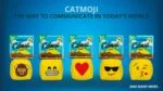 Katzenspielzeug Emoji mit Federn und MADNIP, ø 6 cm – Catmoji Angry – Bild 3