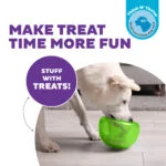 Futterspielzeug für Hunde aus TPE – Outward Hound Orbee-Tuff Snoop – Bild 3