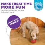 TPE Snackspielzeug für Hunde – Outward Hound Orbee-Tuff Snoop (Lil' Snoop) – Bild 4