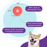 TPE Snackspielzeug für Hunde – Outward Hound Orbee-Tuff Snoop (Lil' Snoop) – Bild 5