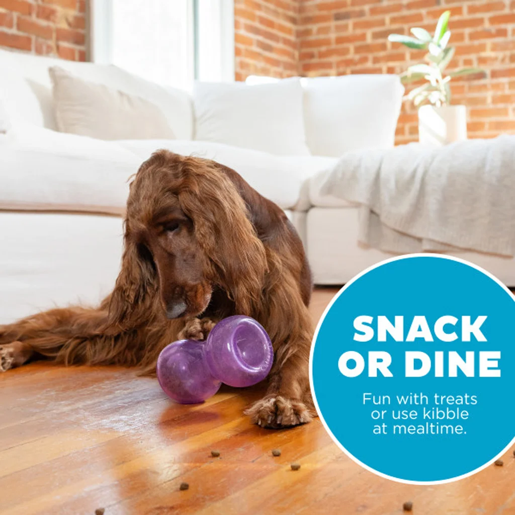 Leckerlispielzeug für Hunde aus TPE – Outward Hound Double Snoop – Bild 5