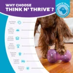 Leckerlispielzeug für Hunde aus TPE – Outward Hound Double Snoop – Bild 6