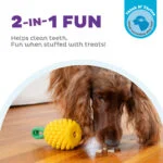 Kauspielzeug mit Seil und fruchtigem Duft – Outward Hound (Kyjen) Dental Pineapple – Bild 4