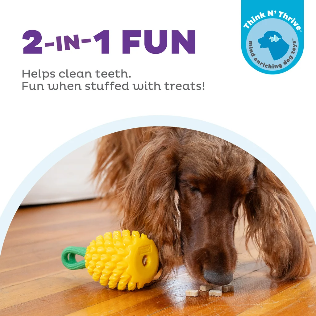 Kauspielzeug mit Seil und fruchtigem Duft – Outward Hound (Kyjen) Dental Pineapple – Bild 4