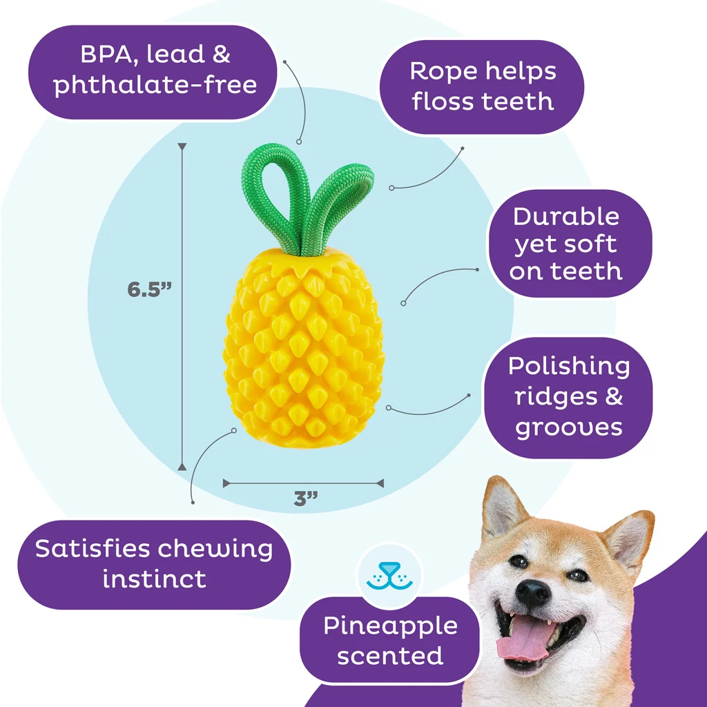 Kauspielzeug mit Seil und fruchtigem Duft – Outward Hound (Kyjen) Dental Pineapple – Bild 5