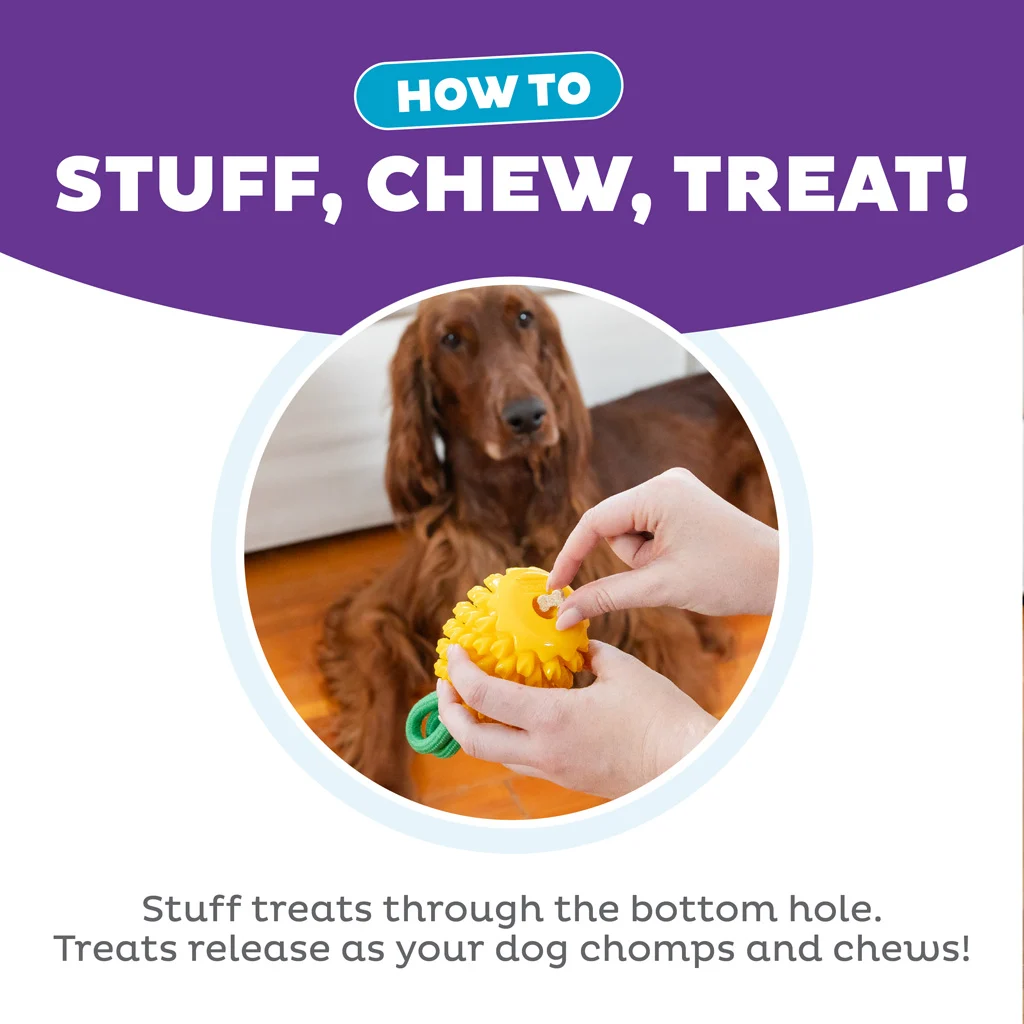 Kauspielzeug mit Seil und fruchtigem Duft – Outward Hound (Kyjen) Dental Pineapple – Bild 6