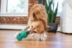 Befüllbares Kauspielzeug M Blau, 10 x 6 cm – Outward Hound (Kyjen) Double-Tuff – Bild 6
