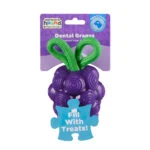 Kauspielzeug mit Seil und Fruchtduft – Outward Hound (Kyjen) Dental Grapes