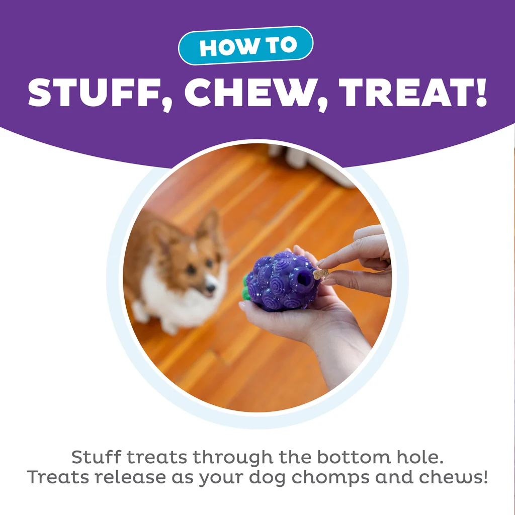 Kauspielzeug mit Seil und Fruchtduft – Outward Hound (Kyjen) Dental Grapes – Bild 6