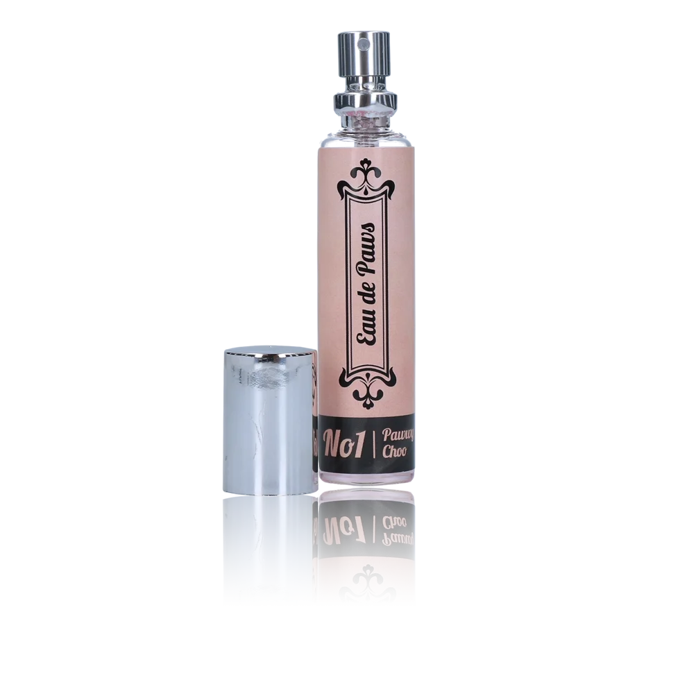 Hundeparfum für Hündinnen mit Orange und Orchidee, 30 ml – Eau de Paws No1 Pawwy Choo – Bild 2