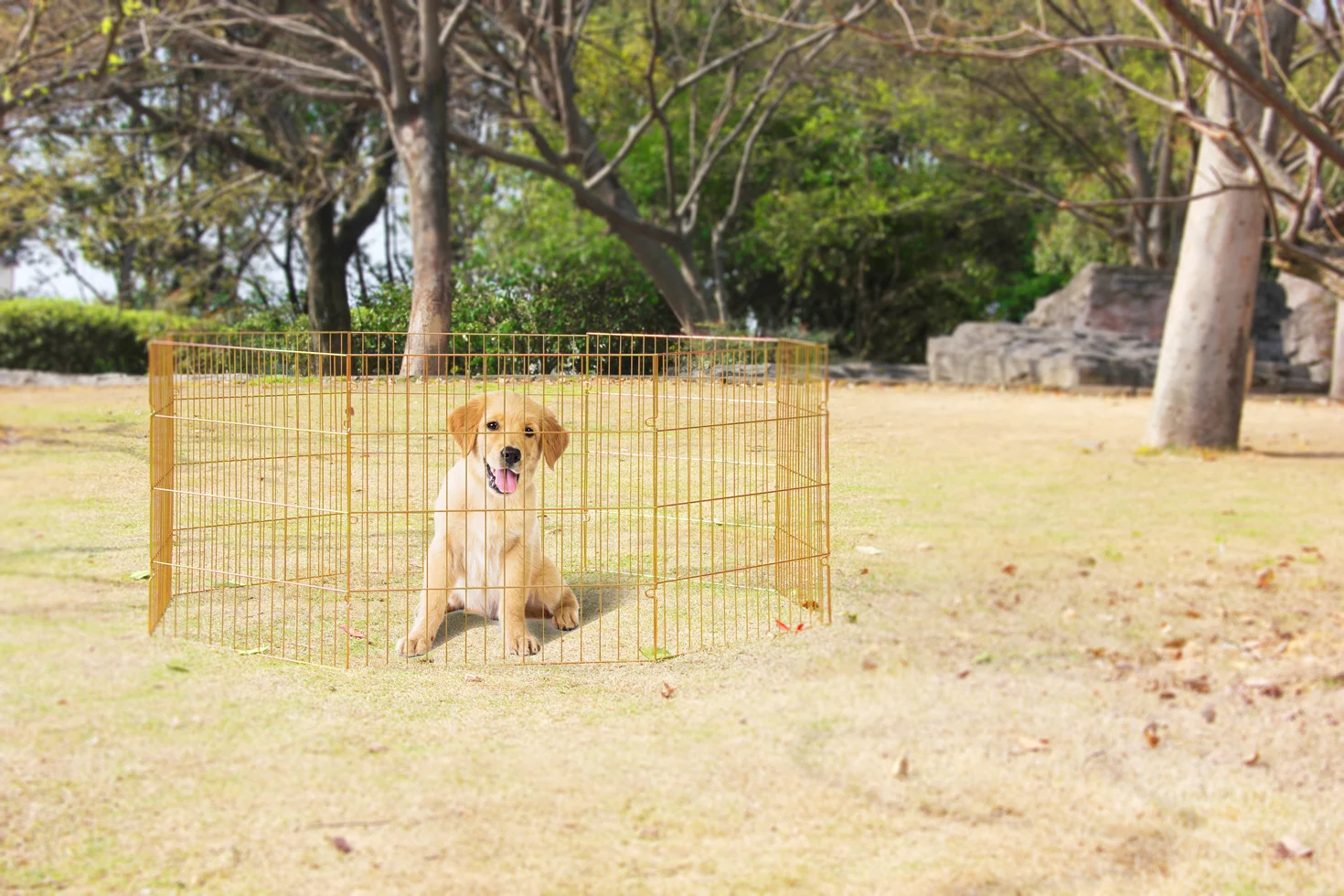 PAWI12556_PAWI12558GROEP.png Zusammenklappbarer Hundelaufstall, 8 Elemente à 91 x 60 cm – Pawise Dog Play Pen L – Bild 1