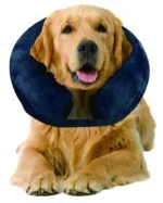 Aufblasbarer Schutzkragen L, 33 bis 45 cm – Pawise Inflatable Protective Collar – Bild 2