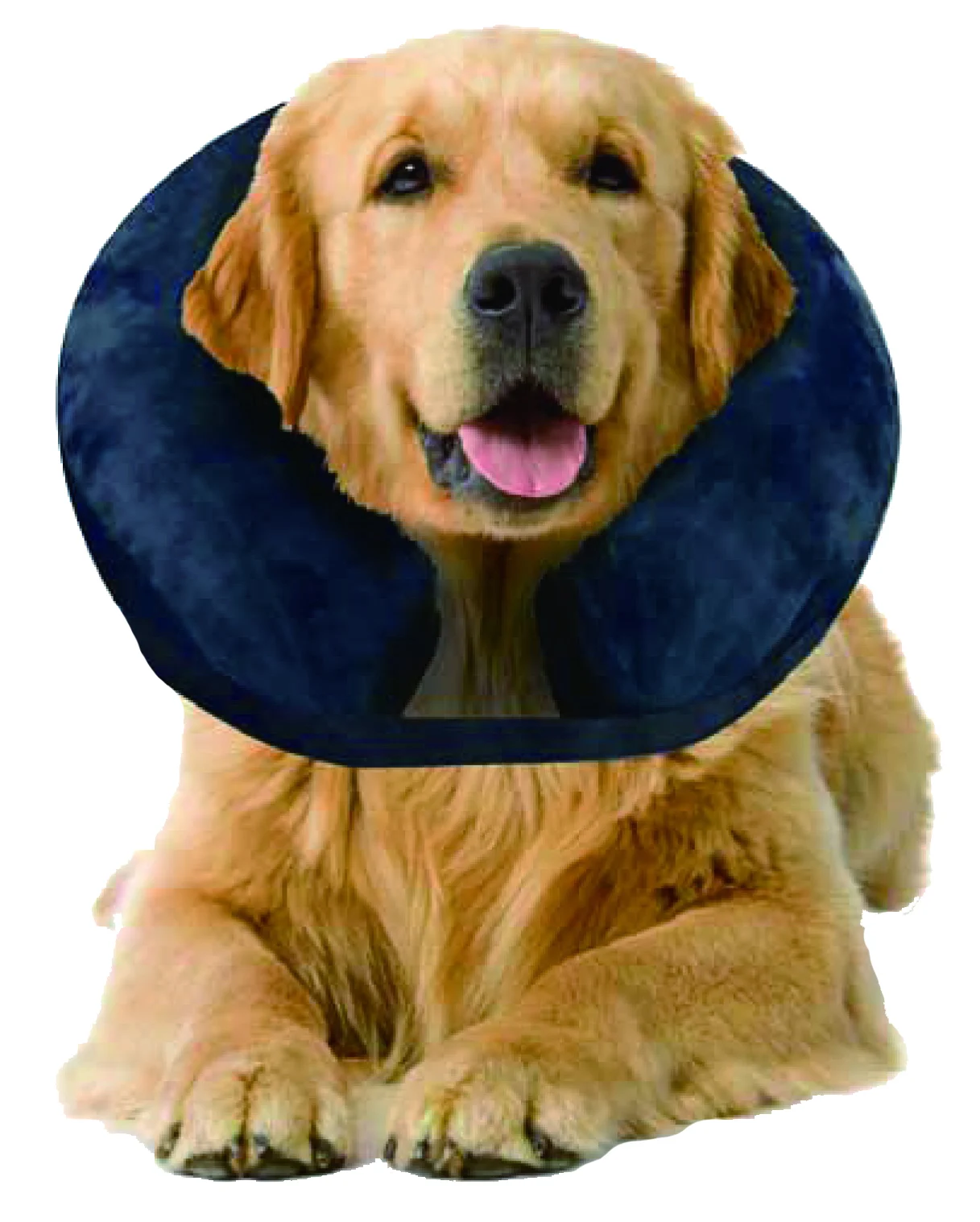 Aufblasbarer Schutzkragen L, 33 bis 45 cm – Pawise Inflatable Protective Collar – Bild 2