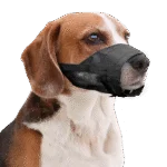 Hundenetz aus Nylon, verstellbar, schwarz, Größe XS – Pawise Adjustable Nylon Muzzle XS – Bild 2
