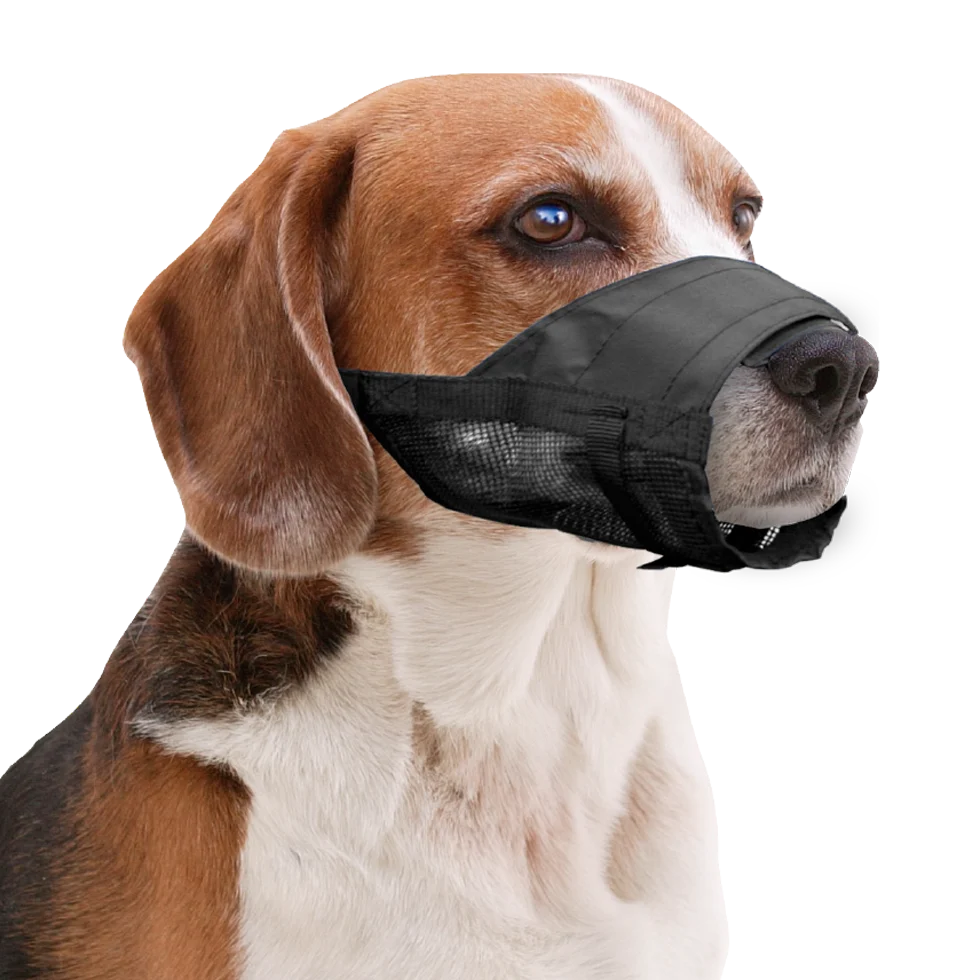 Hundenetz aus Nylon, verstellbar, schwarz, Größe XS – Pawise Adjustable Nylon Muzzle XS – Bild 2